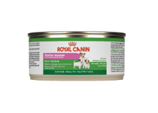 Royal Canin Starter Mousse